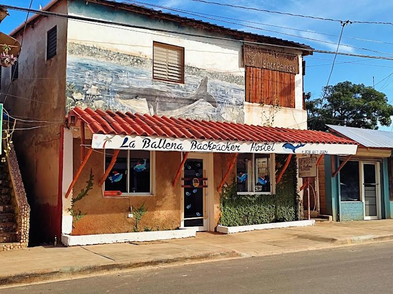 Hostel La Ballena Backpacker Las Galeras Exterior photo