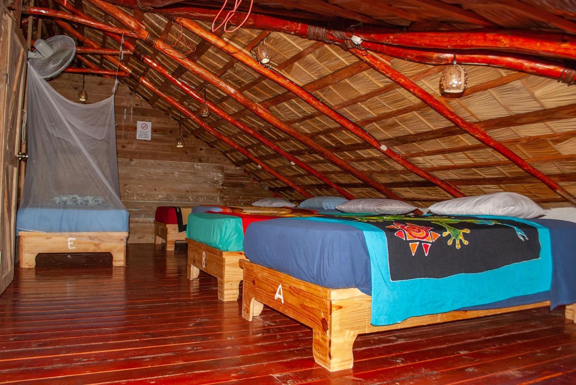 Hostel La Ballena Backpacker Las Galeras Exterior photo