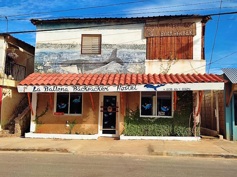 Hostel La Ballena Backpacker Las Galeras Exterior photo